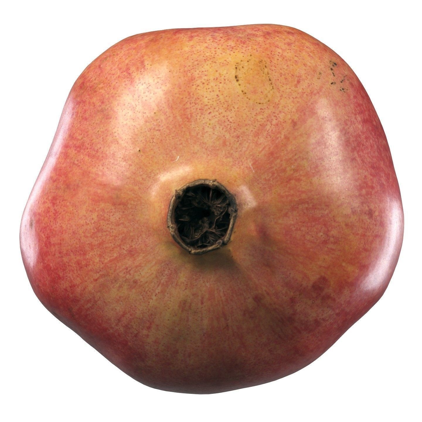 4k Scanned Pomegranate - Game-Ready 3D Model - View 13