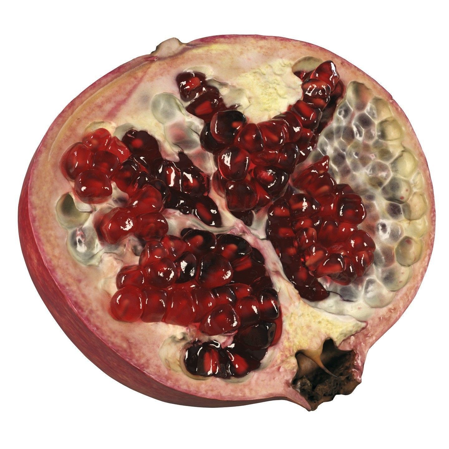 4k Scanned Pomegranate - Game-Ready 3D Model - View 5