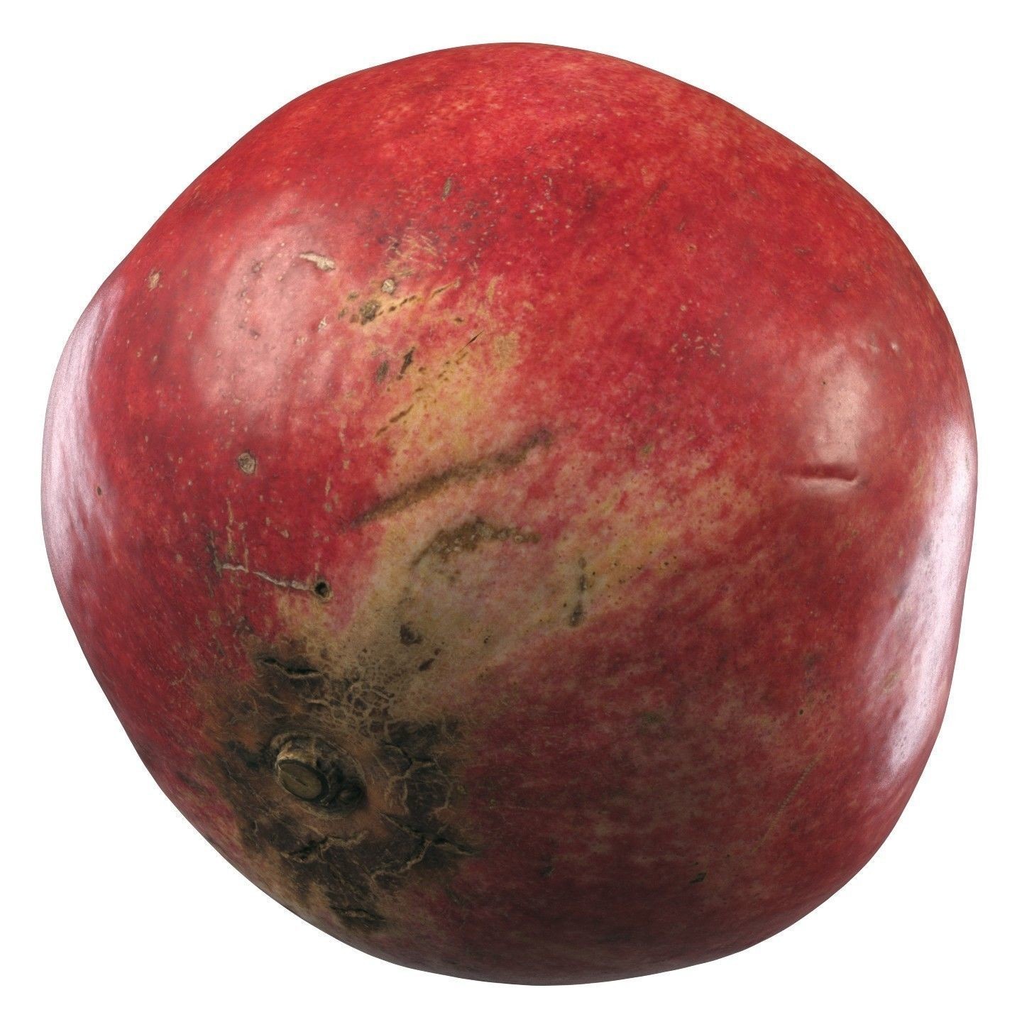 4k Scanned Pomegranate - Game-Ready 3D Model - View 8
