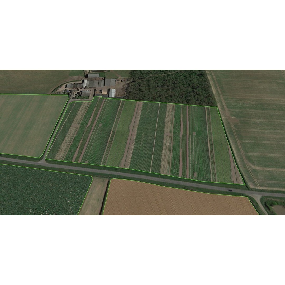 Aerial Grass 3D Model – Seamless Natural Texture, PNG