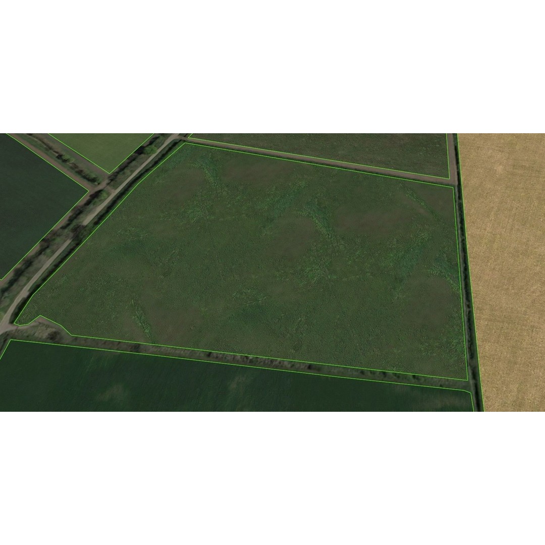 Aerial Grass 3D Model – Seamless Natural Texture, PNG - View 10