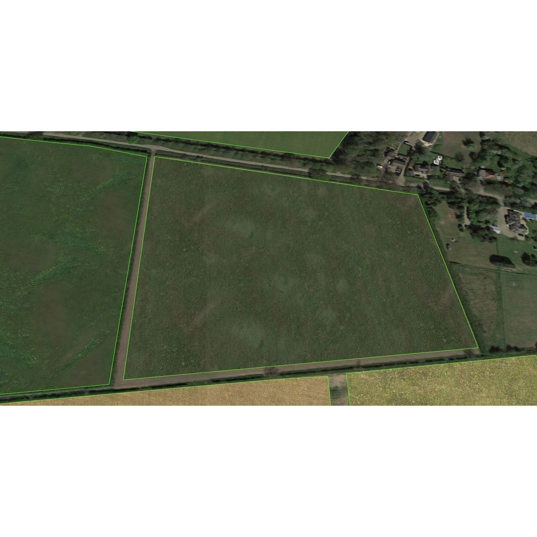 Aerial Grass 3D Model – Seamless Natural Texture, PNG - View 11