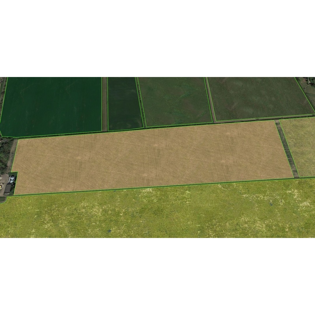 Aerial Grass 3D Model – Seamless Natural Texture, PNG - View 12
