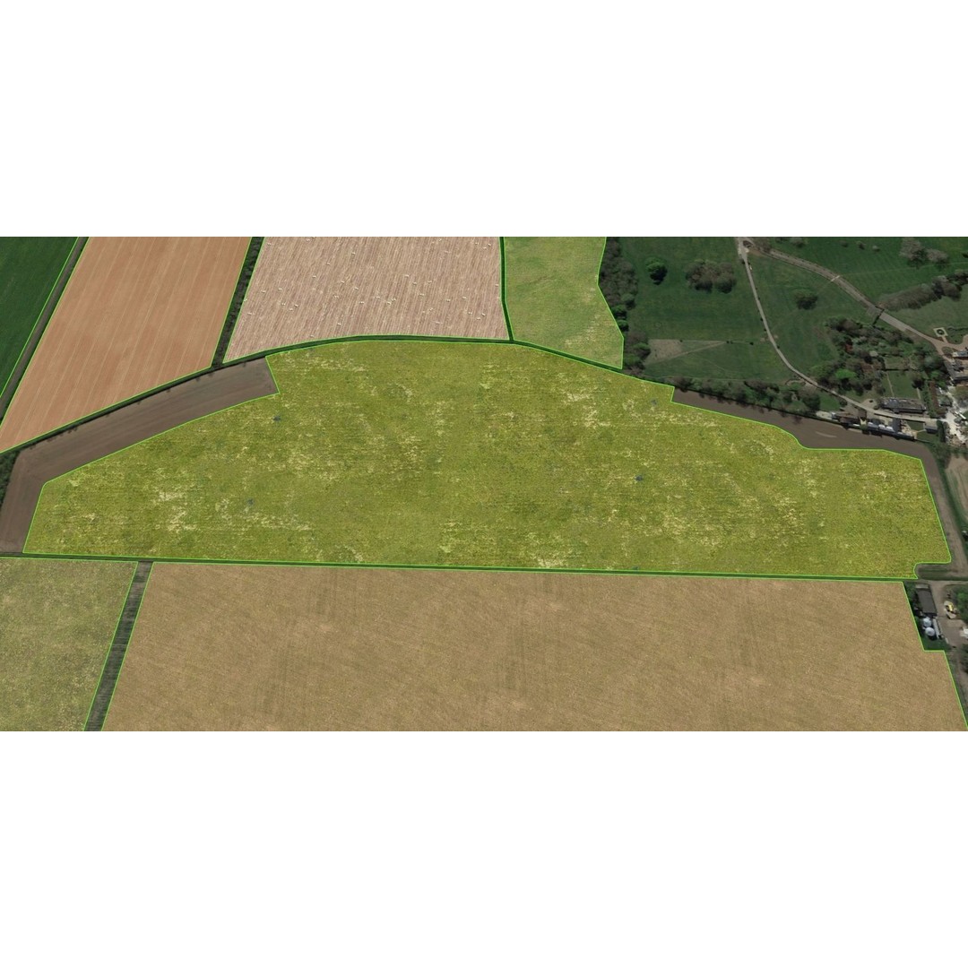 Aerial Grass 3D Model – Seamless Natural Texture, PNG - View 14