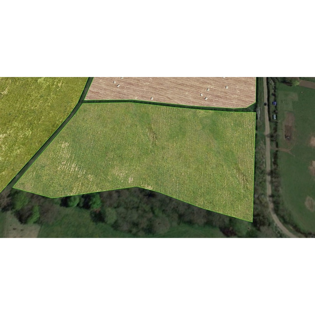 Aerial Grass 3D Model – Seamless Natural Texture, PNG - View 15