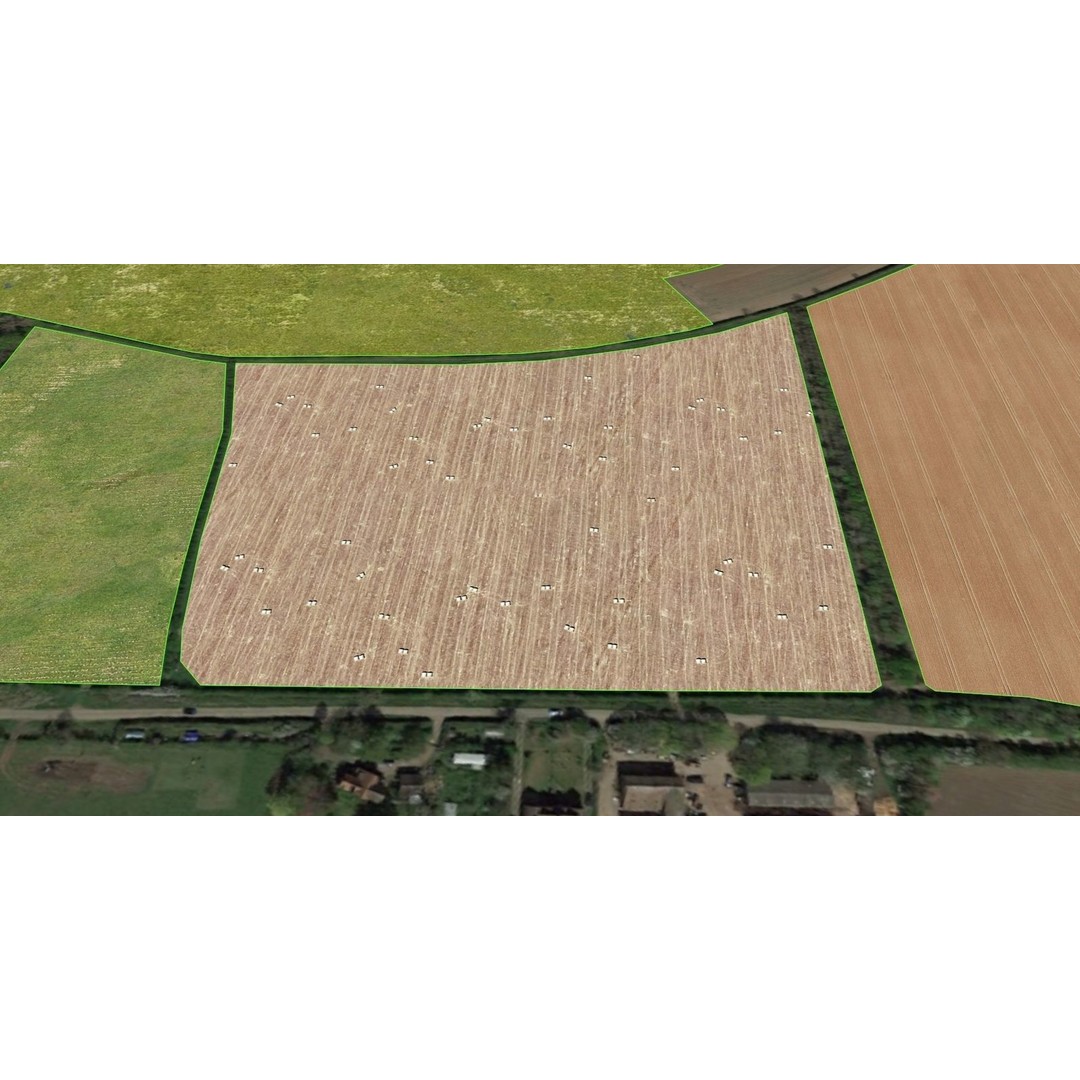 Aerial Grass 3D Model – Seamless Natural Texture, PNG - View 16