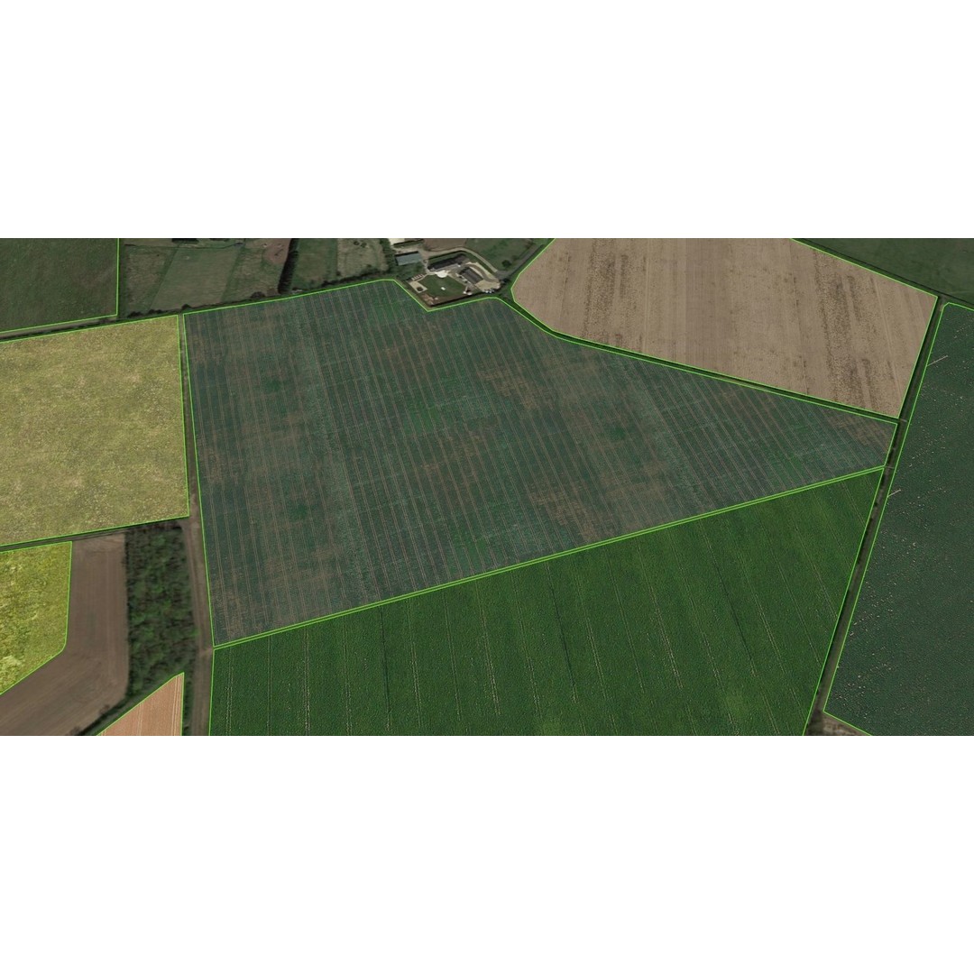 Aerial Grass 3D Model – Seamless Natural Texture, PNG - View 18