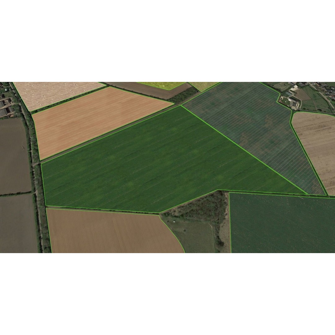 Aerial Grass 3D Model – Seamless Natural Texture, PNG - View 19