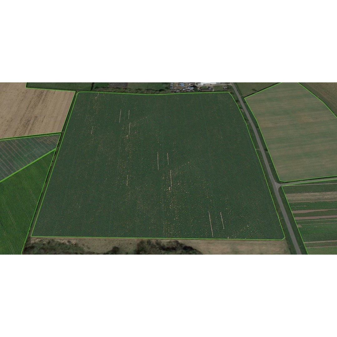 Aerial Grass 3D Model – Seamless Natural Texture, PNG - View 21