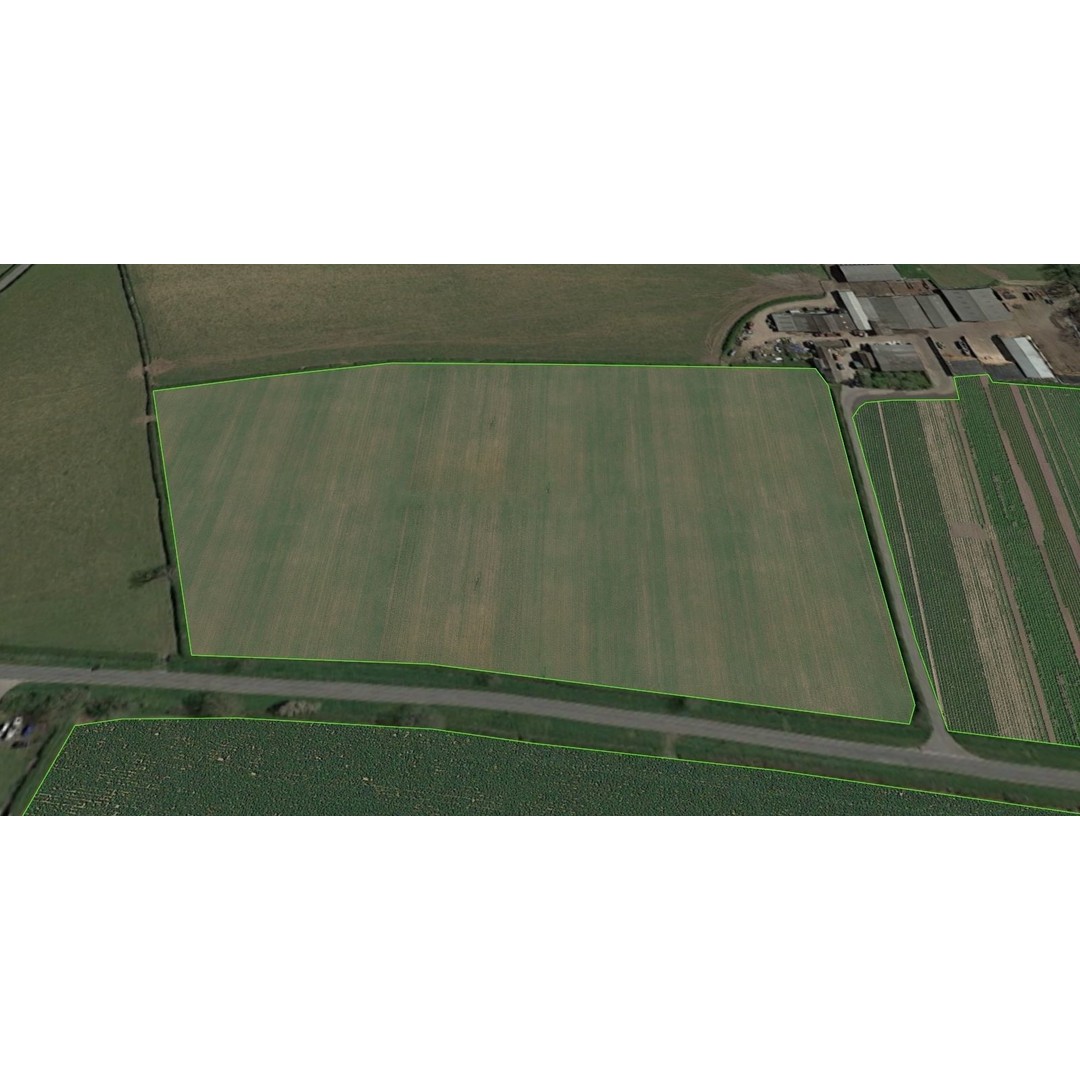 Aerial Grass 3D Model – Seamless Natural Texture, PNG - View 23