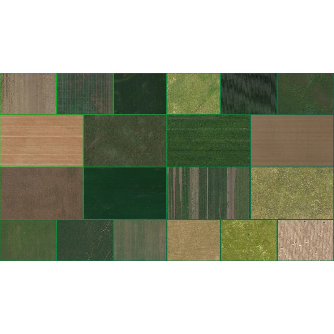 Aerial Grass 3D Model – Seamless Natural Texture, PNG - View 3