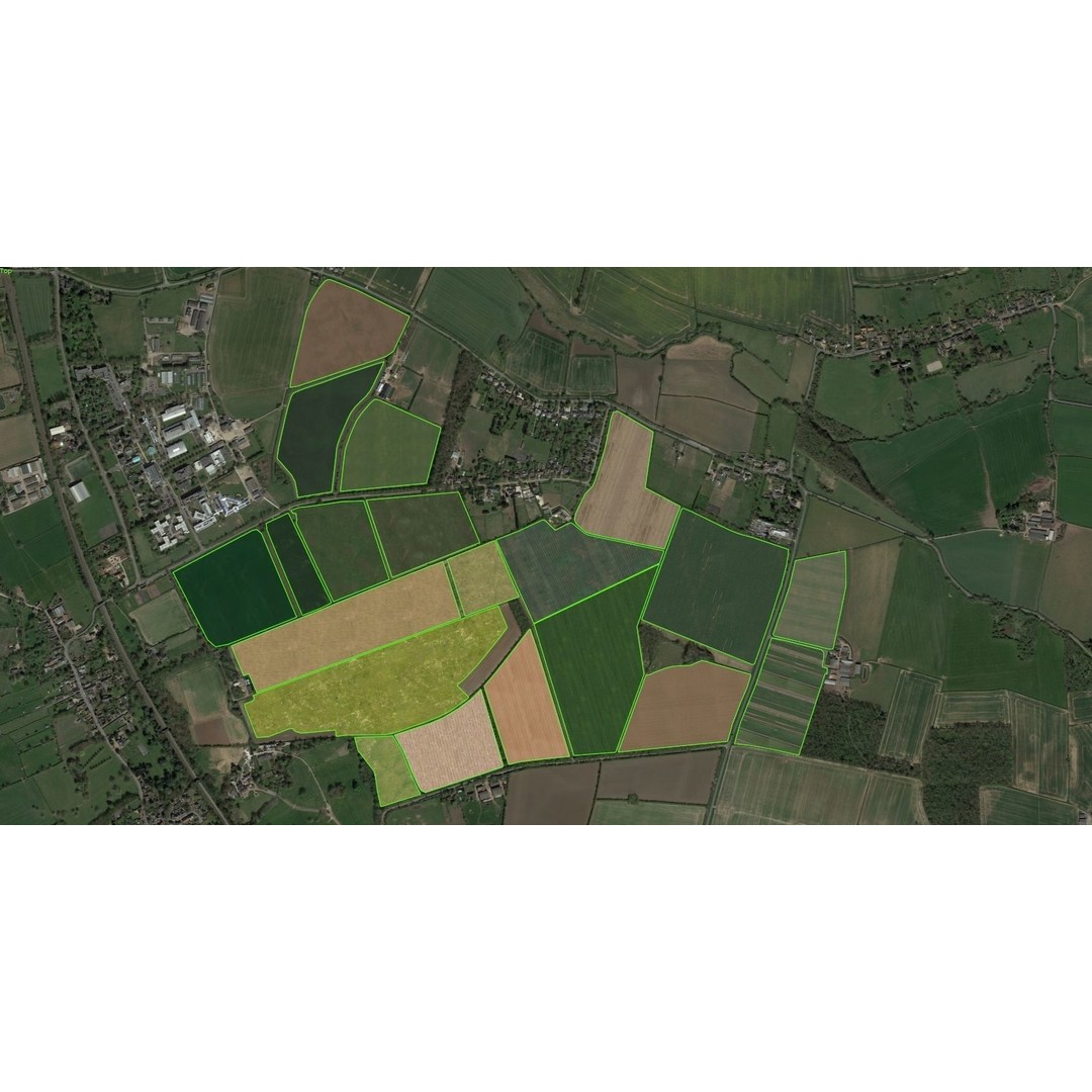 Aerial Grass 3D Model – Seamless Natural Texture, PNG - View 4