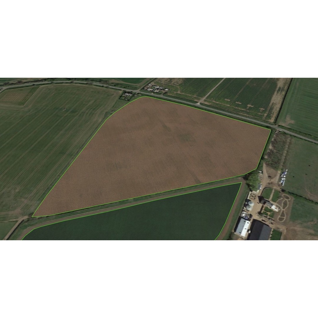 Aerial Grass 3D Model – Seamless Natural Texture, PNG - View 5