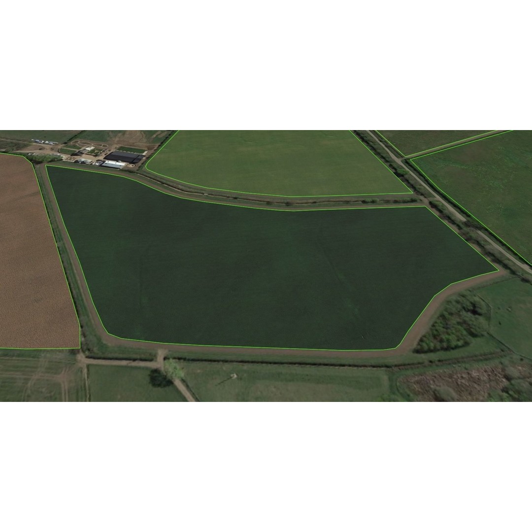 Aerial Grass 3D Model – Seamless Natural Texture, PNG - View 6