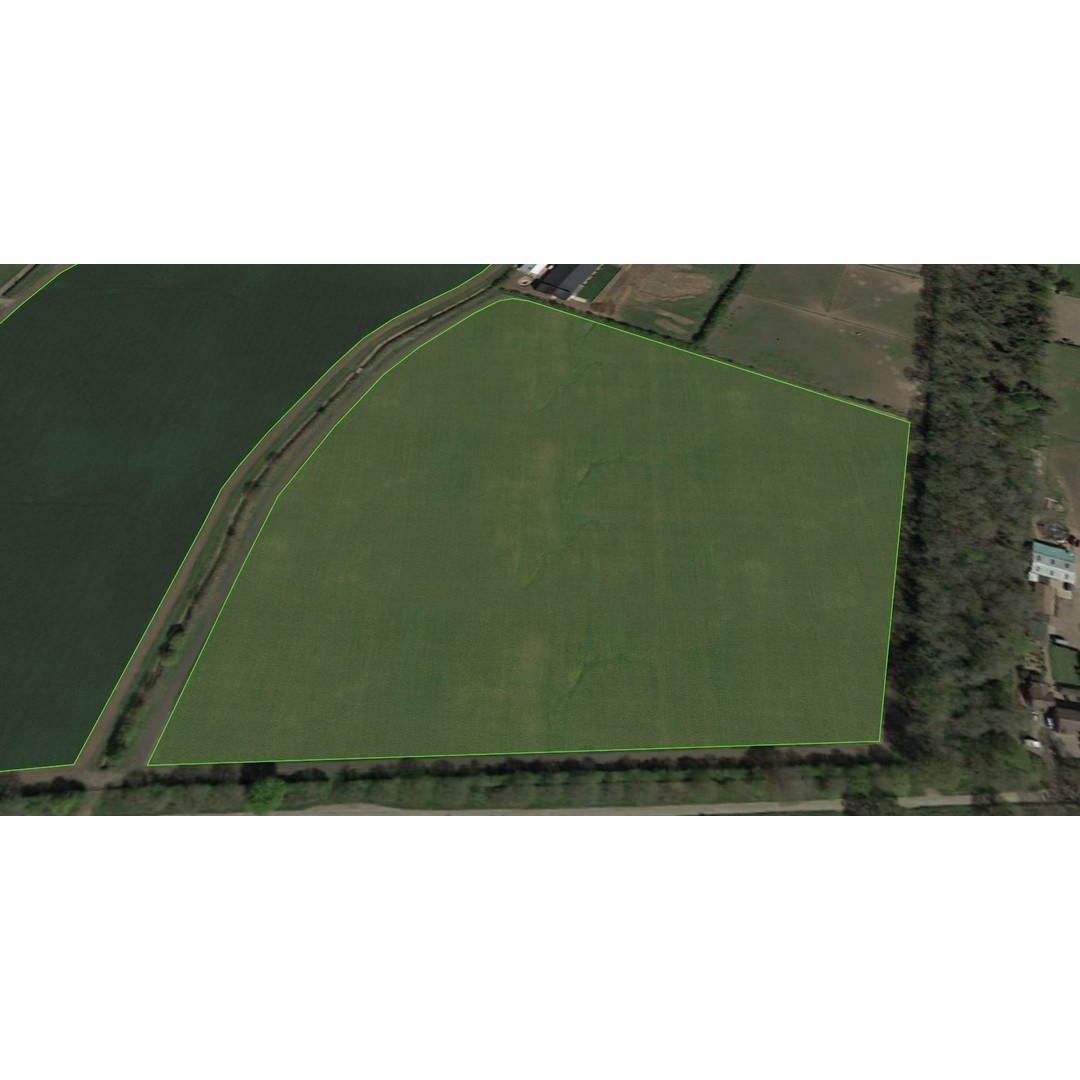 Aerial Grass 3D Model – Seamless Natural Texture, PNG - View 7