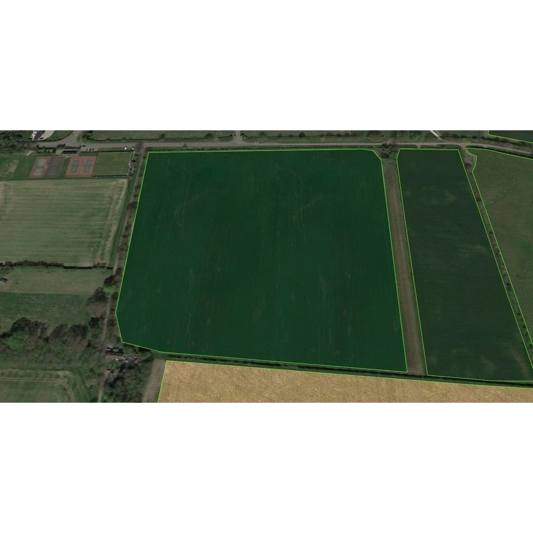 Aerial Grass 3D Model – Seamless Natural Texture, PNG - View 8