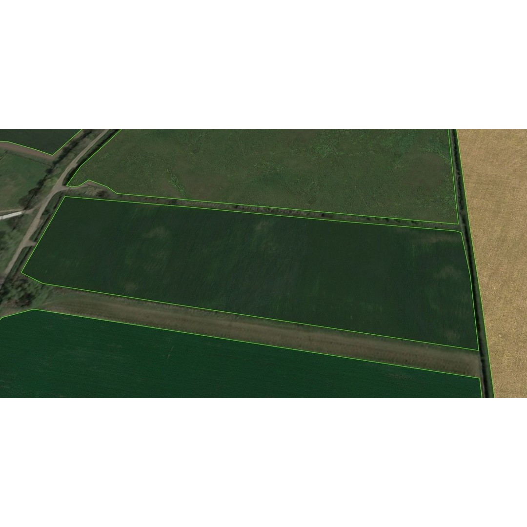 Aerial Grass 3D Model – Seamless Natural Texture, PNG - View 9