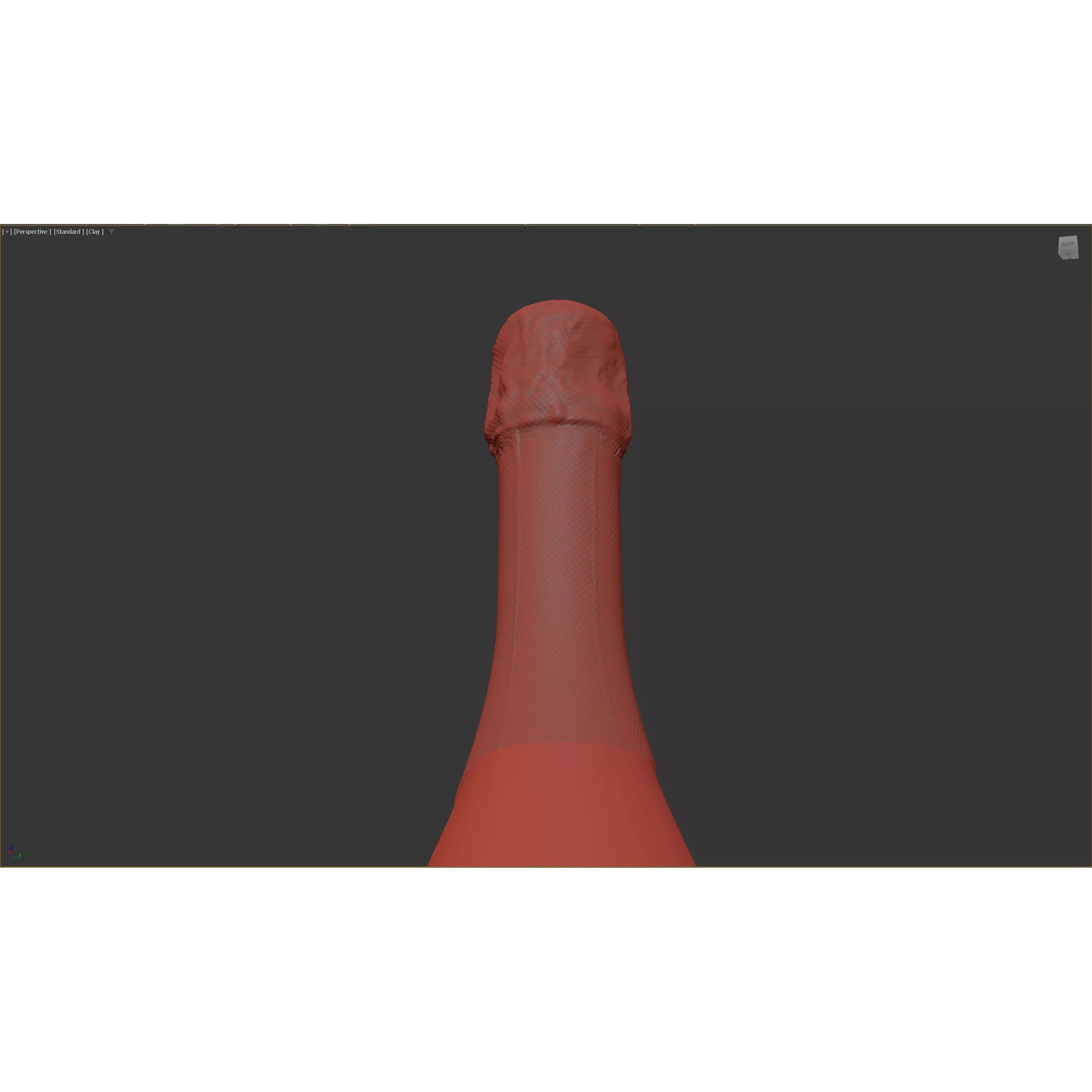 Champagne Bottle - High-Poly 3D Model - View 9