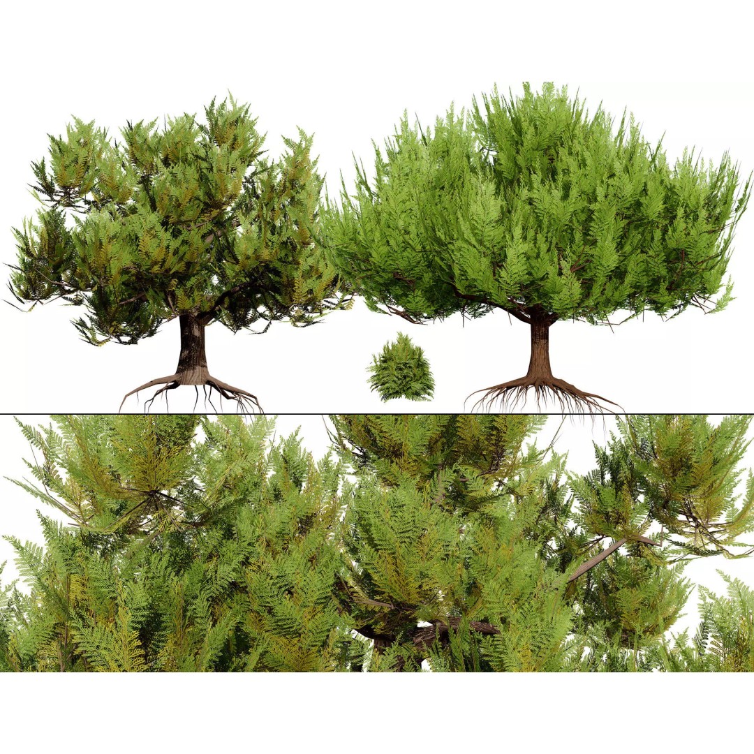 Pine Tree Pack 3D Model – Low Poly Game Asset, PBR Textures, FBX - View 2