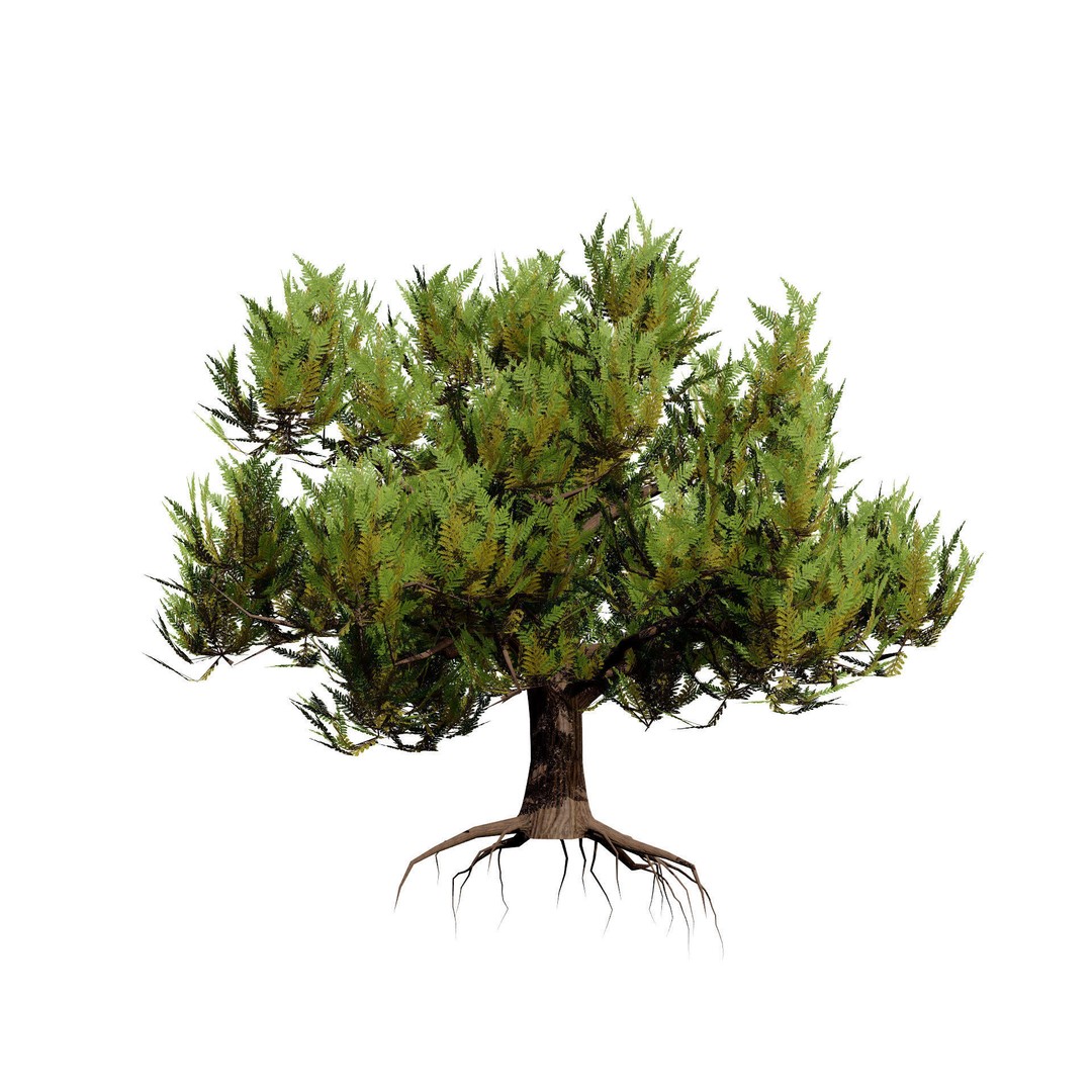 Pine Tree Pack 3D Model – Low Poly Game Asset, PBR Textures, FBX - View 7