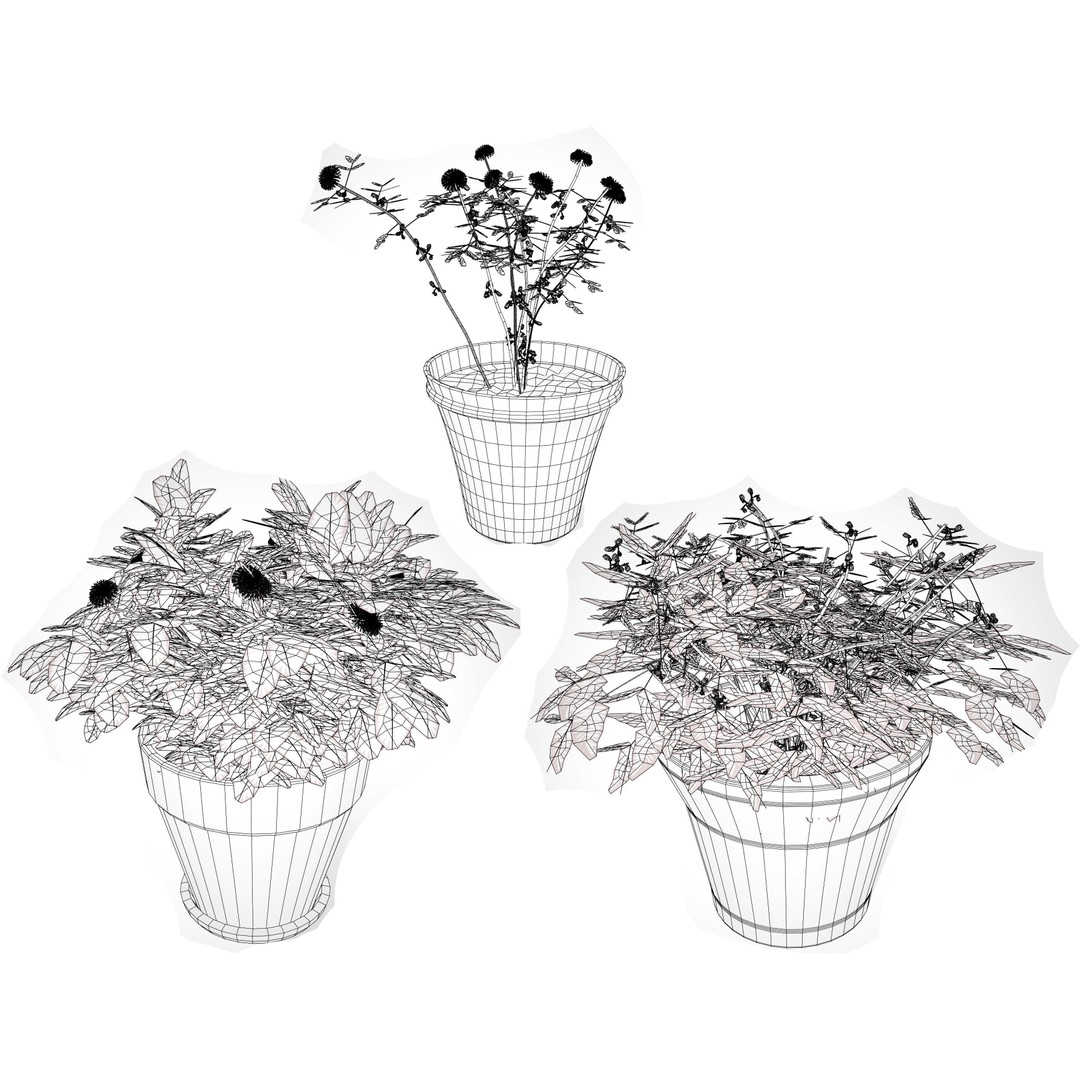 Mimosa Potted Plant 3D Model – Low Poly PBR Asset for Games, FBX