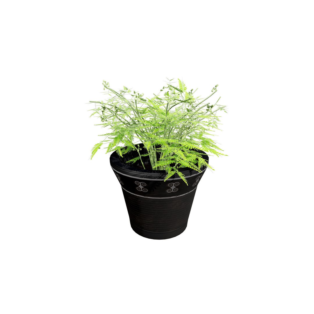 Mimosa Potted Plant 3D Model – Low Poly PBR Asset for Games, FBX - View 9