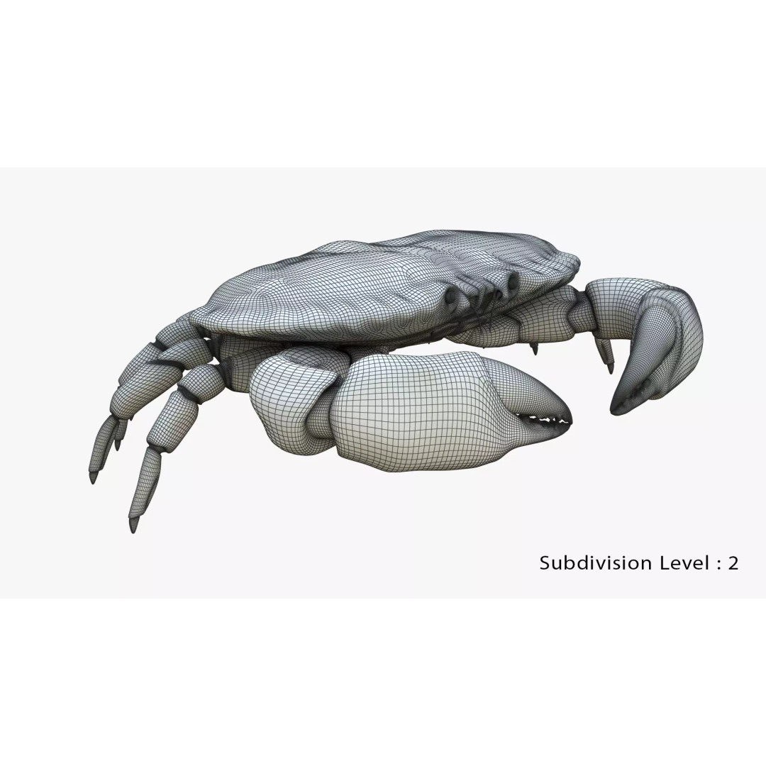 Brown Crab 3D Model – Rigged Low-Poly Asset with 8K PBR Textures