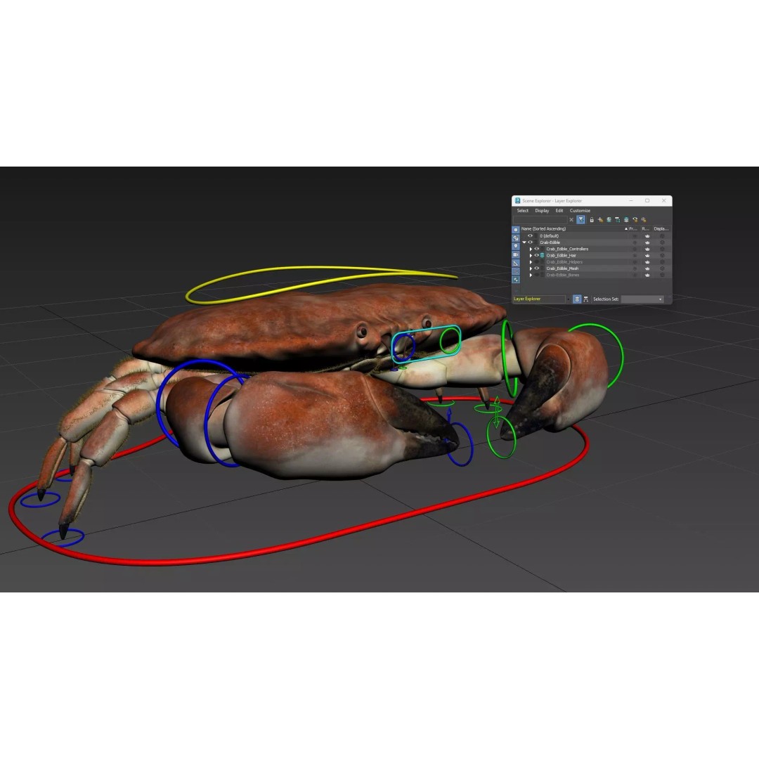 Brown Crab 3D Model – Rigged Low-Poly Asset with 8K PBR Textures - View 17