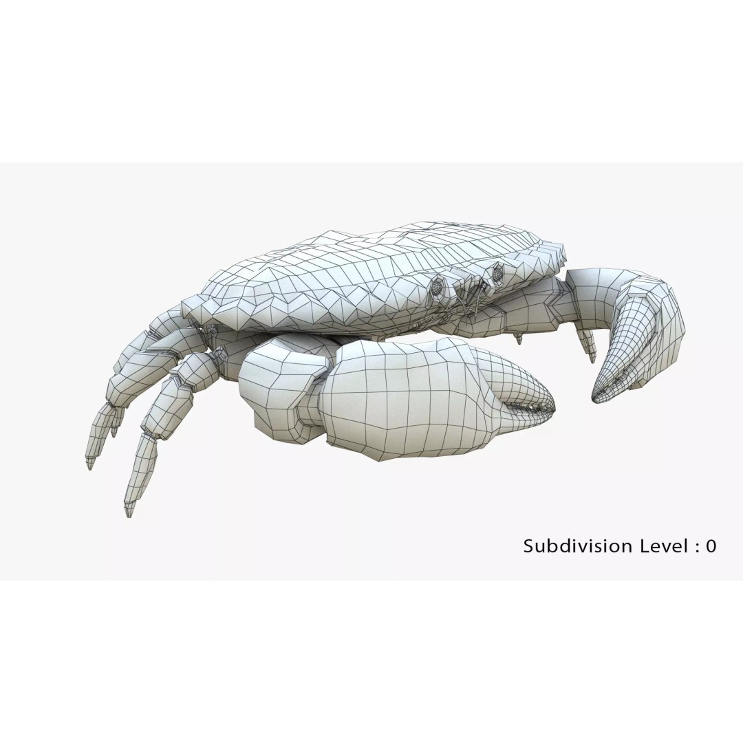 Brown Crab 3D Model – Rigged Low-Poly Asset with 8K PBR Textures - View 19