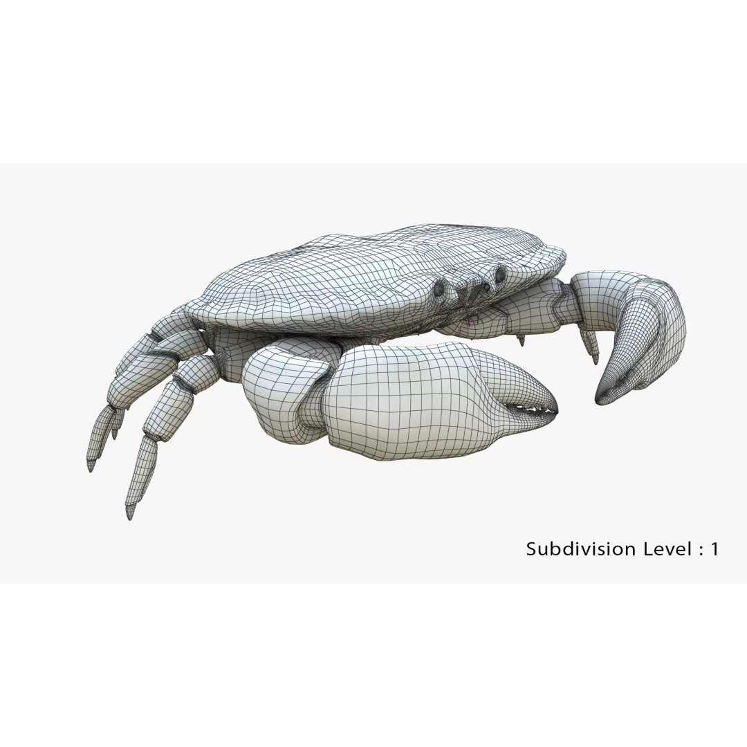 Brown Crab 3D Model – Rigged Low-Poly Asset with 8K PBR Textures - View 20