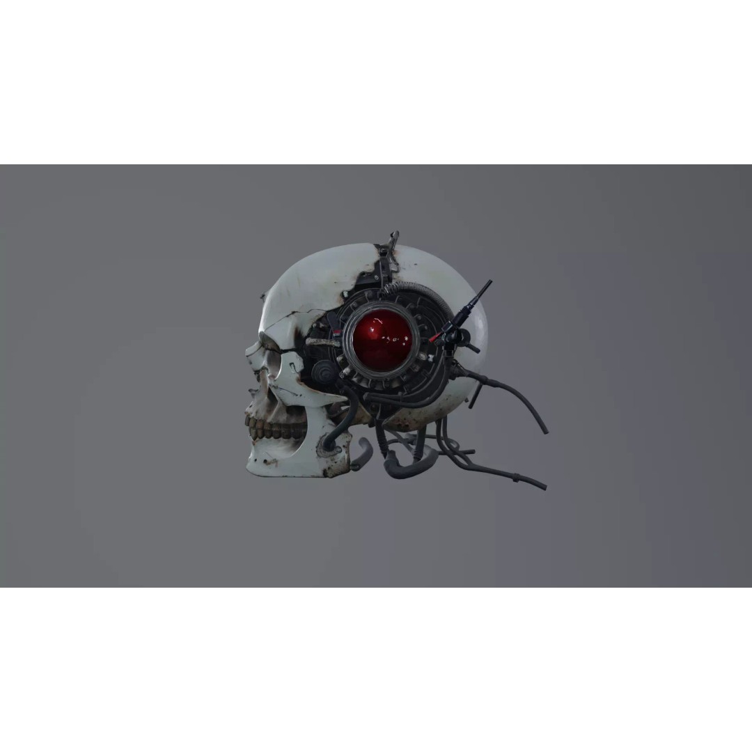 Cyborg Skull 3D Model – Gothic Sci-Fi Prop, Game Ready, FBX - View 3