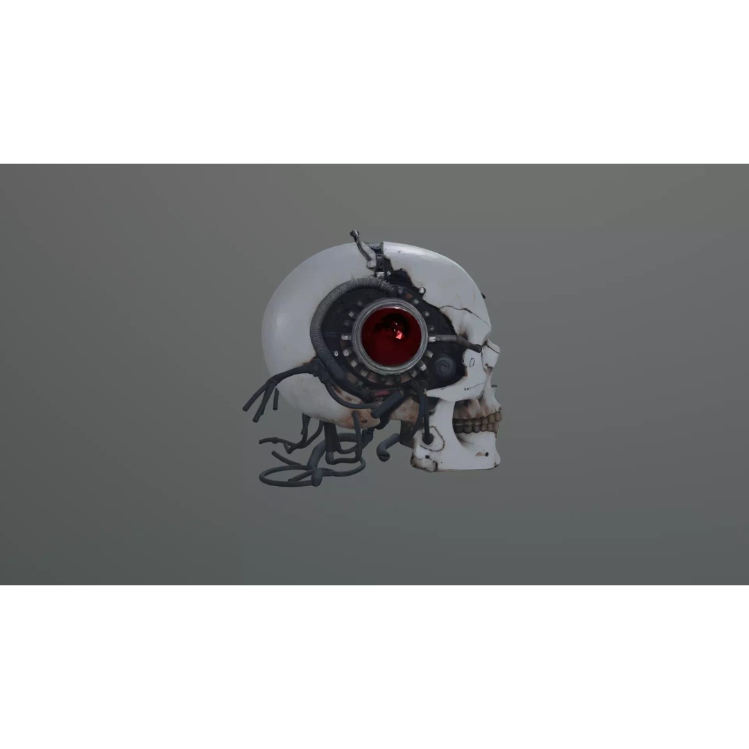 Cyborg Skull 3D Model – Gothic Sci-Fi Prop, Game Ready, FBX - View 5