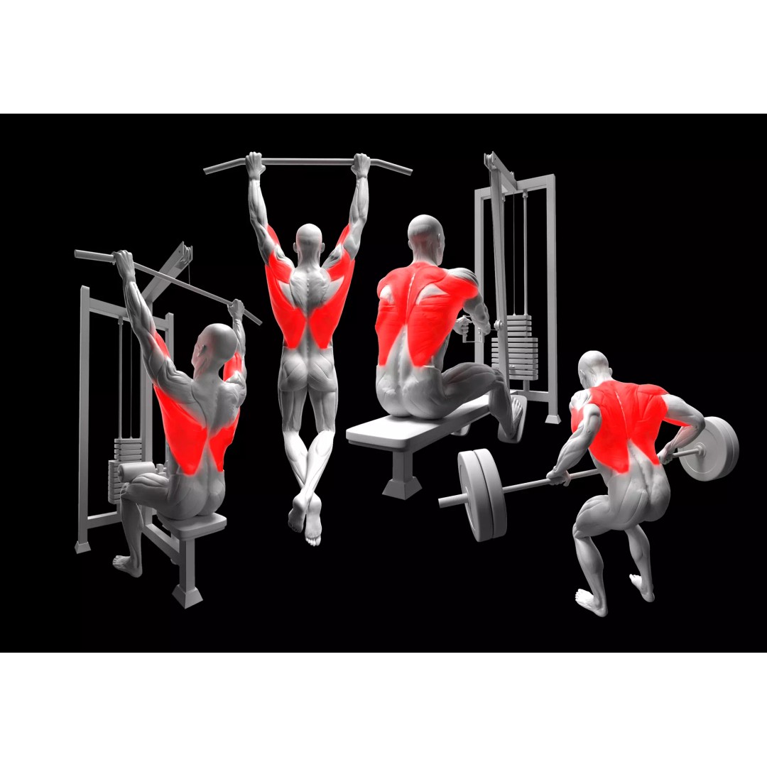 Back Exercises 3D Model – Animated Character Rigged for Fitness - View 2