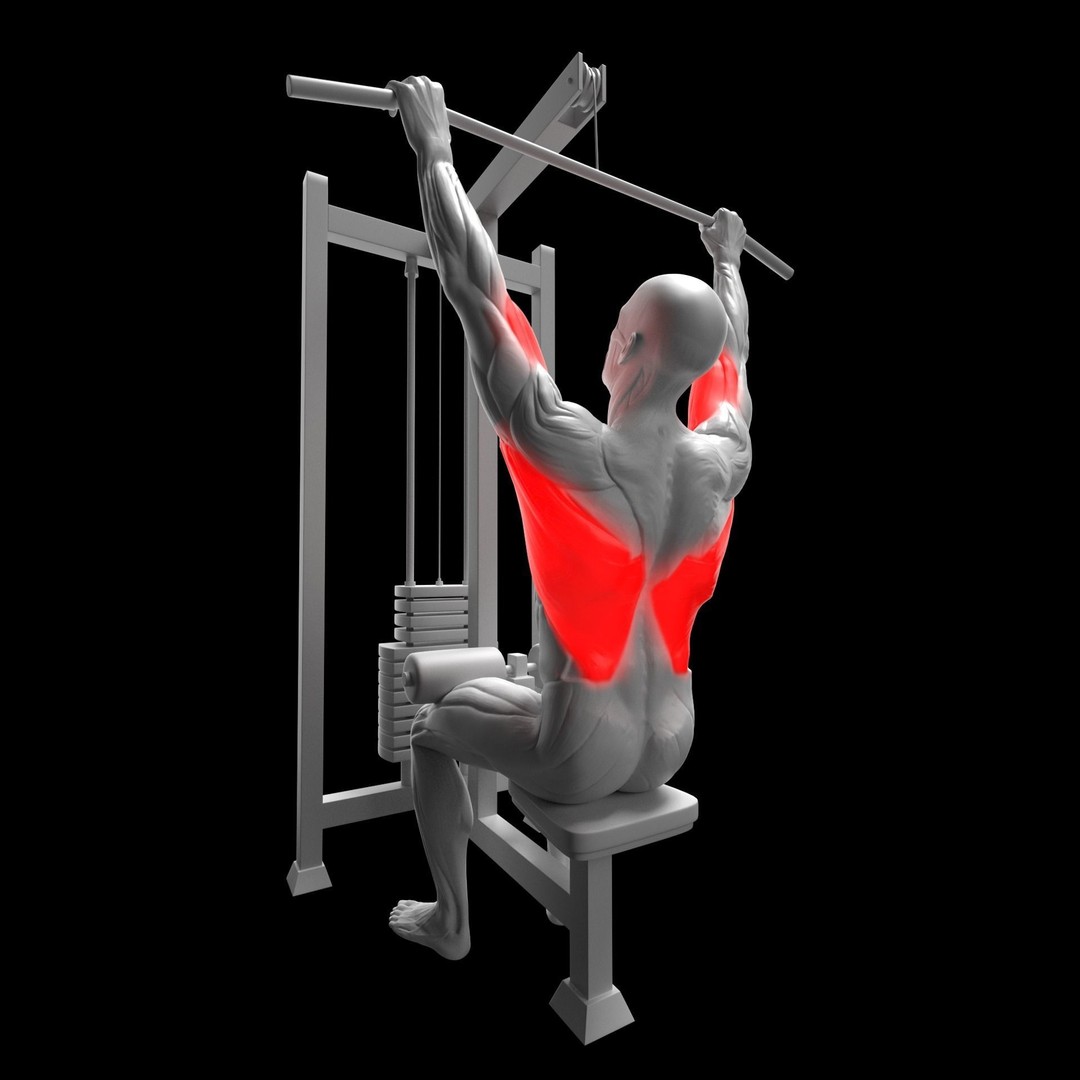Back Exercises 3D Model – Animated Character Rigged for Fitness - View 3