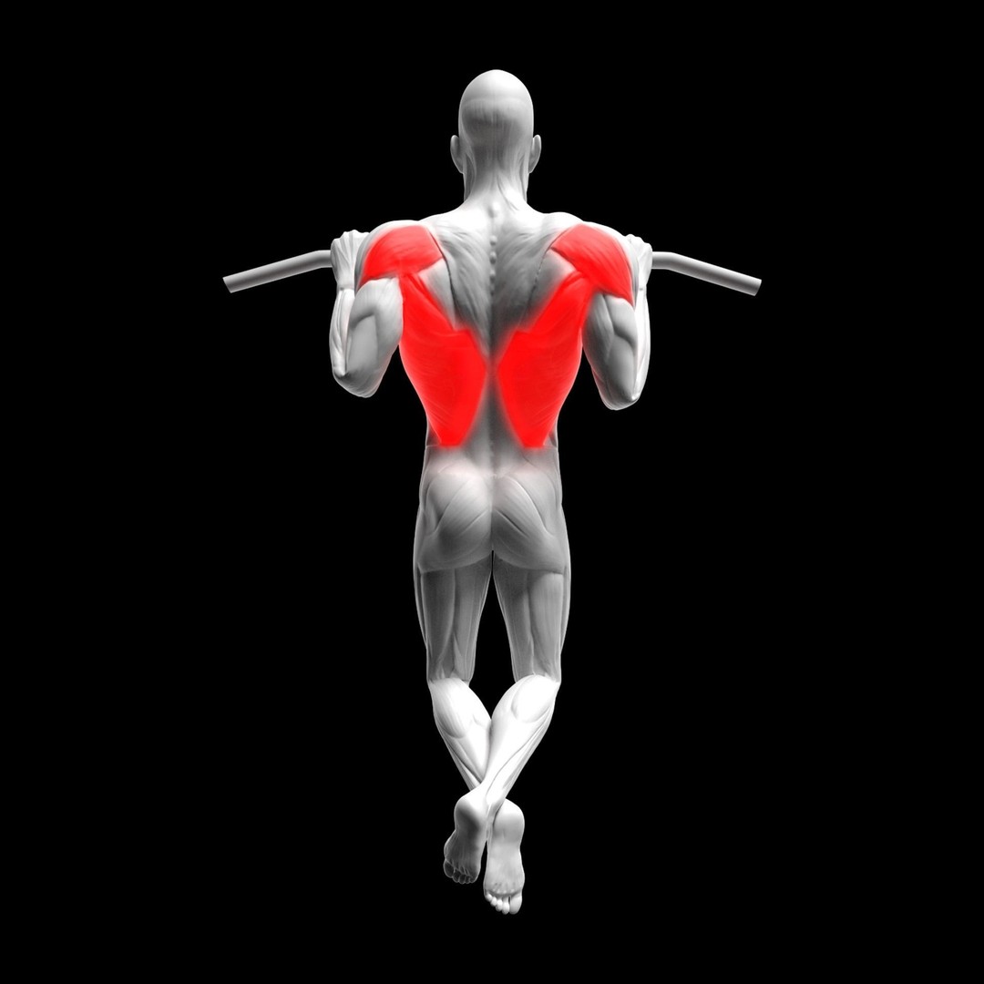 Back Exercises 3D Model – Animated Character Rigged for Fitness - View 6