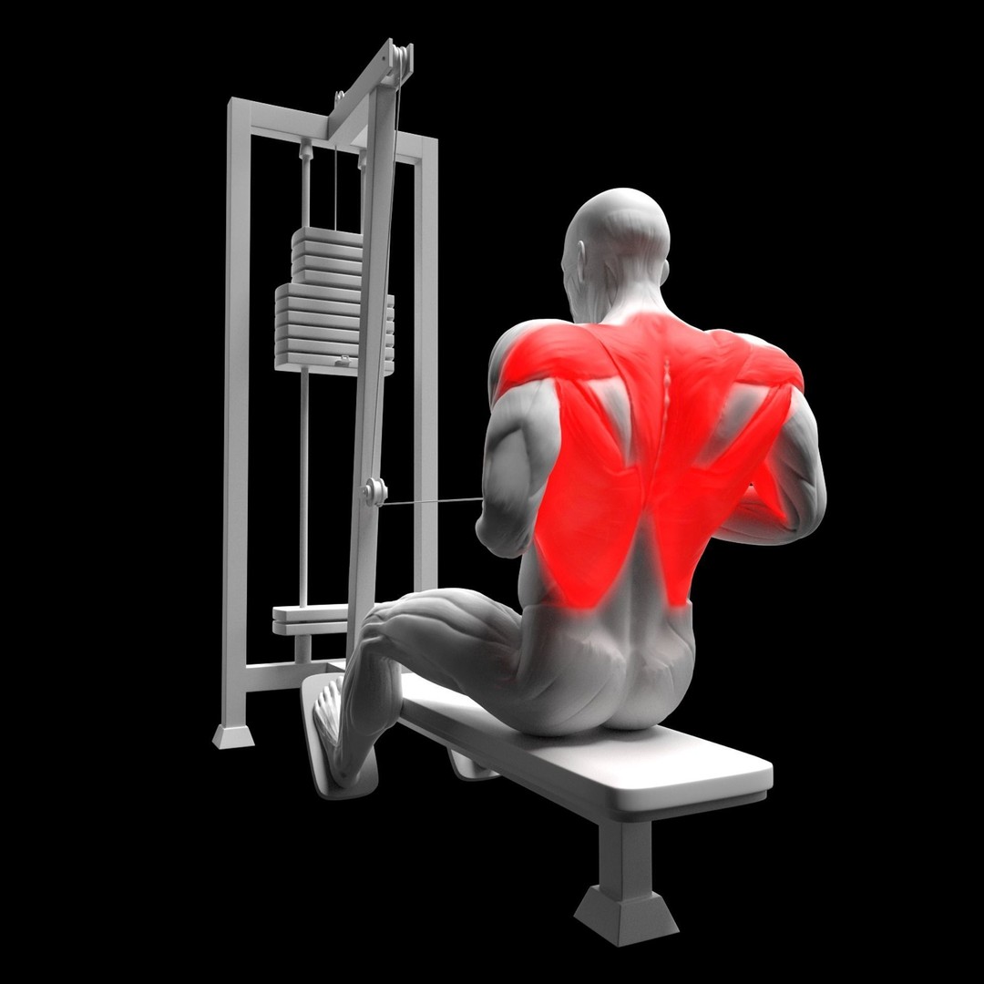 Back Exercises 3D Model – Animated Character Rigged for Fitness - View 8