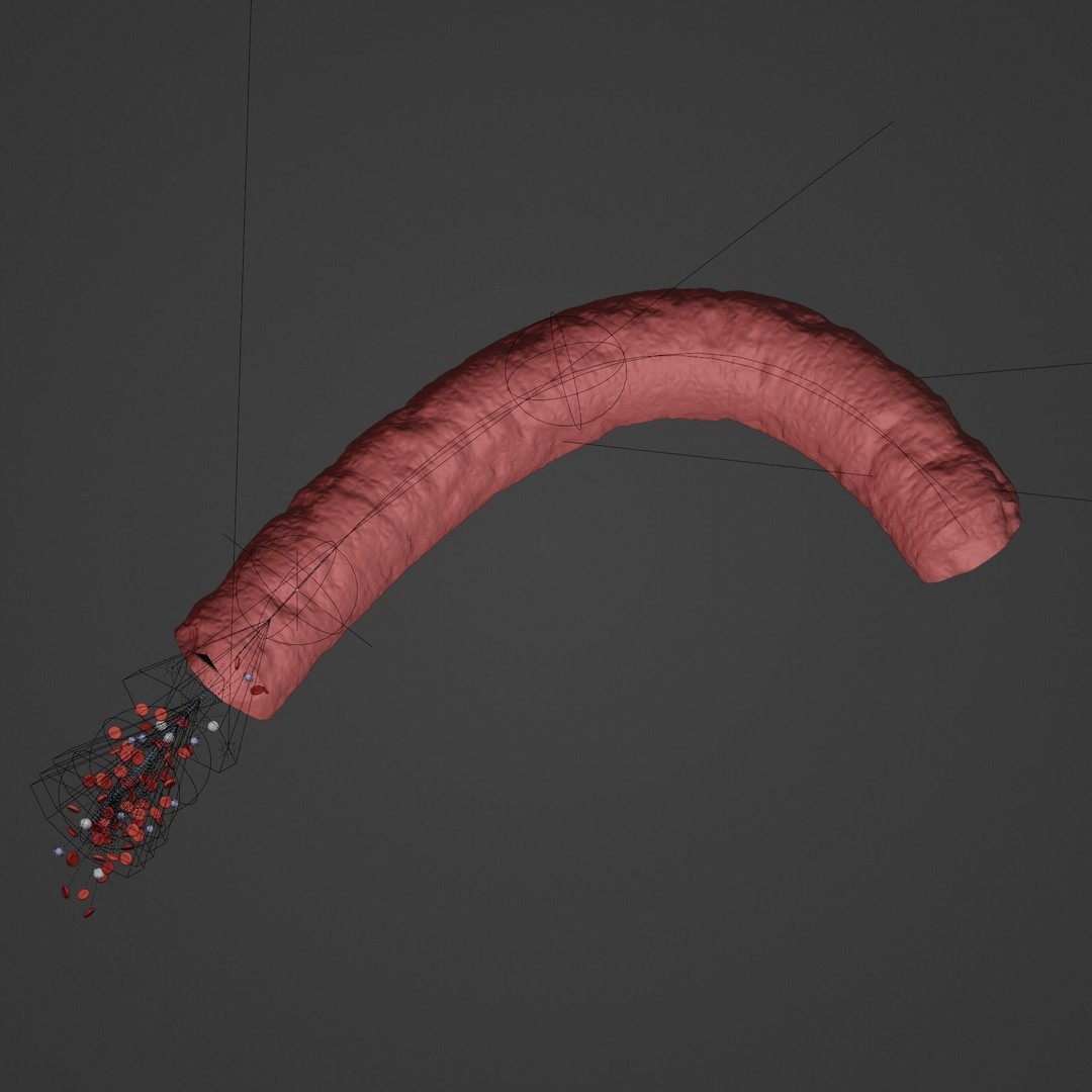 Blood Flow 3D Model – Animated Stream Simulation, Blender - View 10