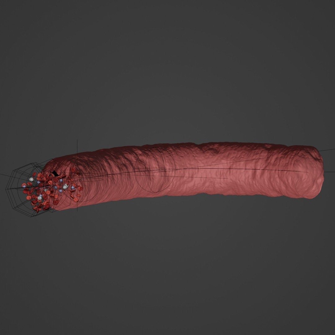 Blood Flow 3D Model – Animated Stream Simulation, Blender - View 11