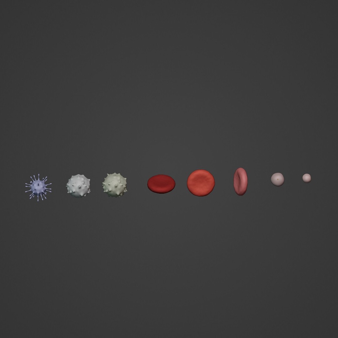 Blood Flow 3D Model – Animated Stream Simulation, Blender - View 12