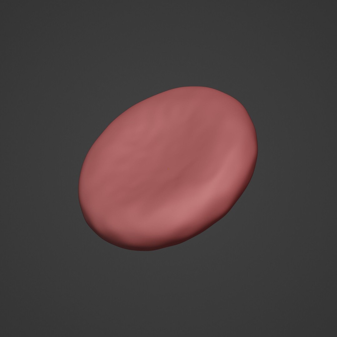 Blood Flow 3D Model – Animated Stream Simulation, Blender - View 15