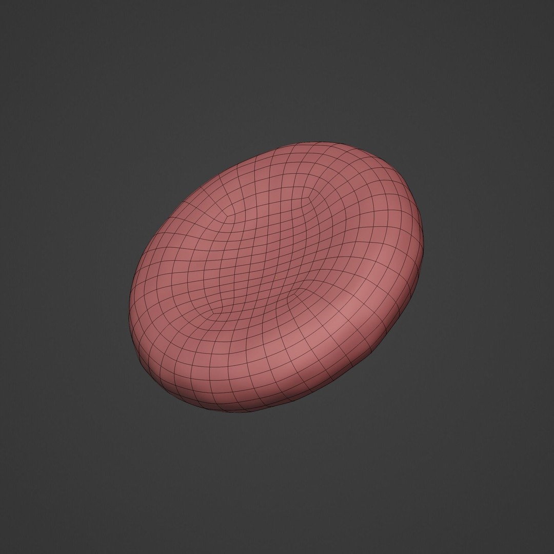 Blood Flow 3D Model – Animated Stream Simulation, Blender - View 16