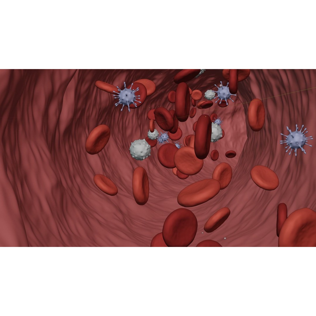 Blood Flow 3D Model – Animated Stream Simulation, Blender - View 7