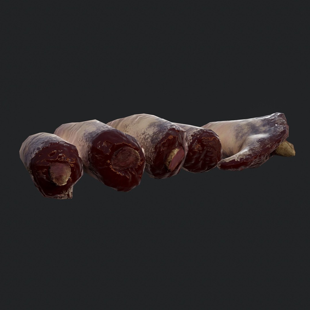 Severed Fingers 3D Model – Low Poly PBR Asset, FBX - View 11