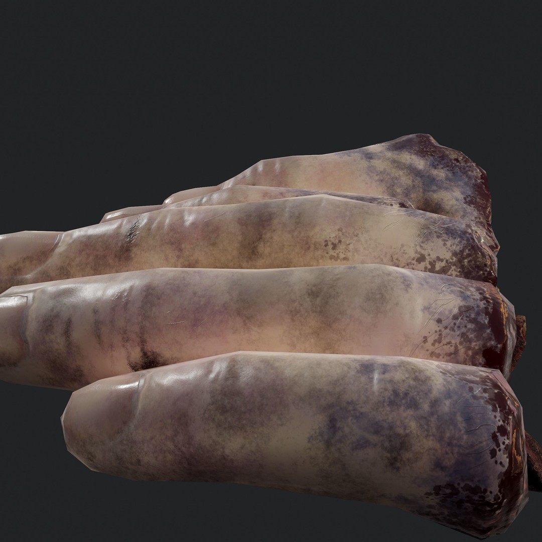 Severed Fingers 3D Model – Low Poly PBR Asset, FBX - View 16