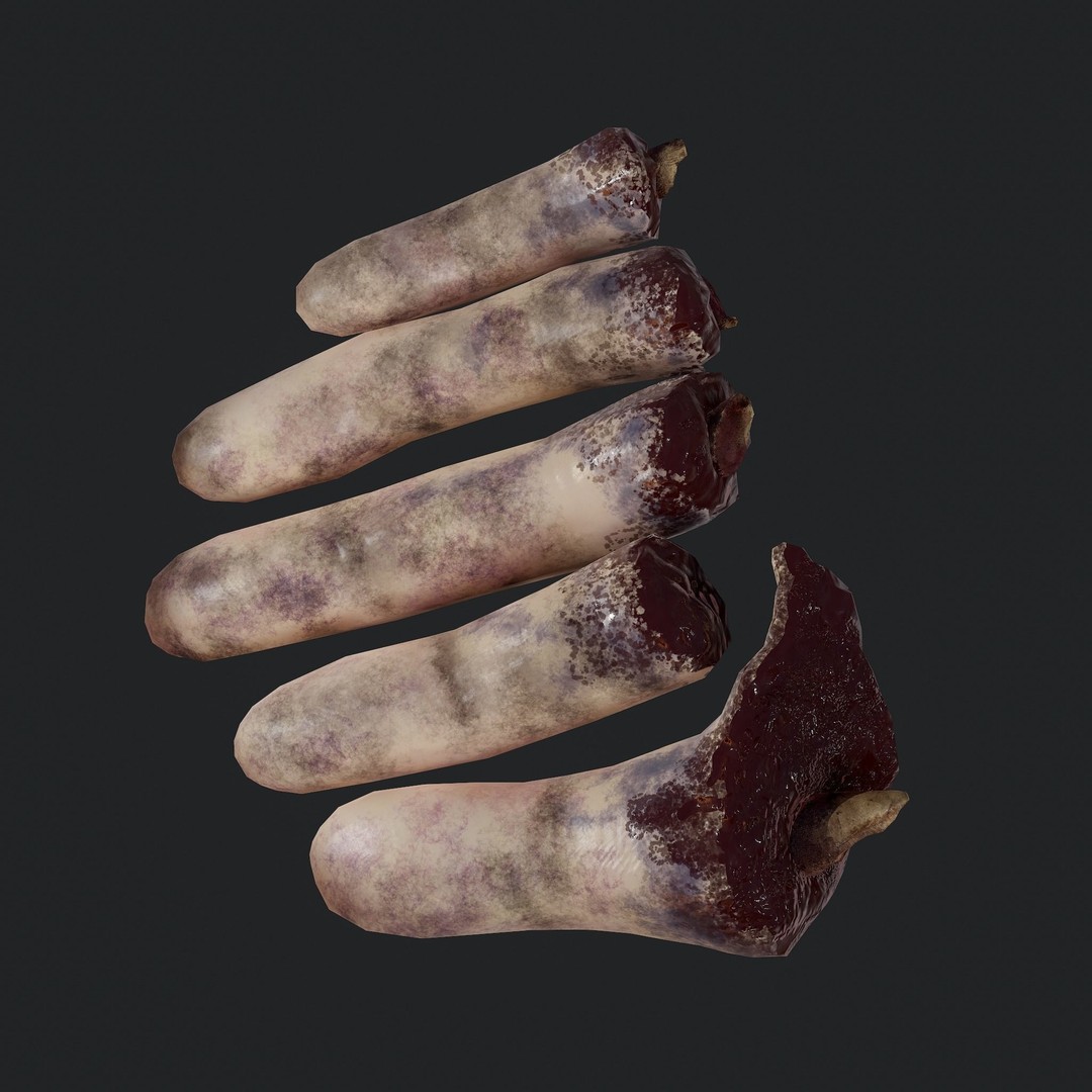 Severed Fingers 3D Model – Low Poly PBR Asset, FBX - View 24