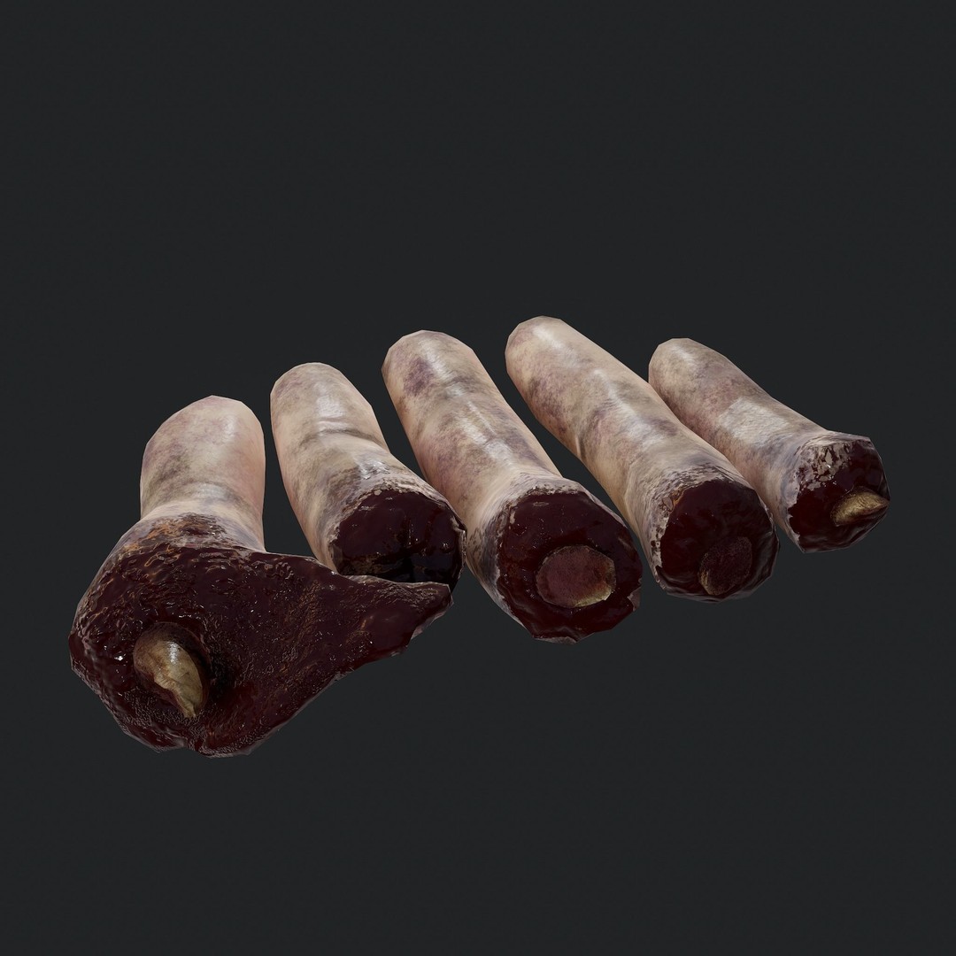 Severed Fingers 3D Model – Low Poly PBR Asset, FBX - View 25