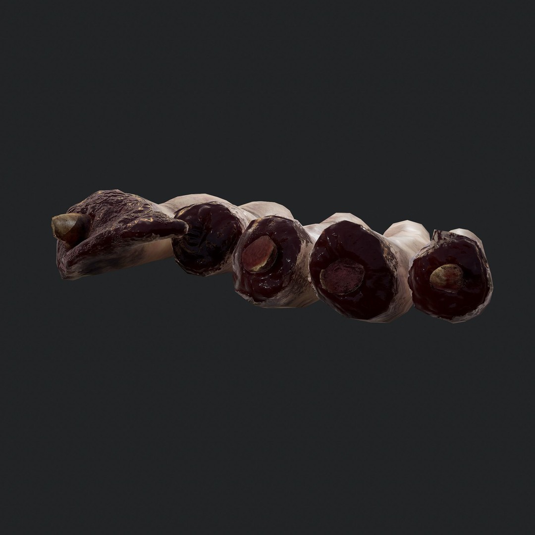 Severed Fingers 3D Model – Low Poly PBR Asset, FBX - View 28
