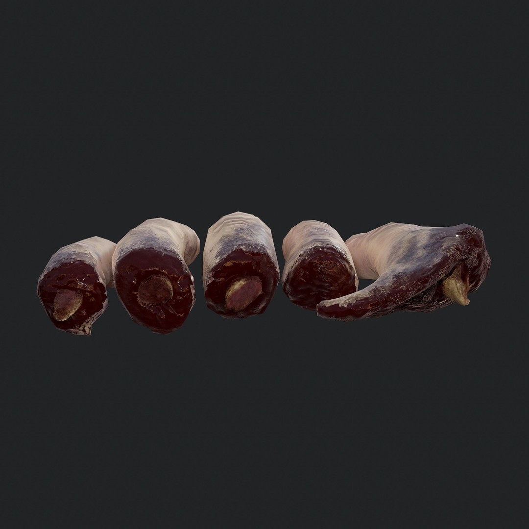 Severed Fingers 3D Model – Low Poly PBR Asset, FBX - View 5
