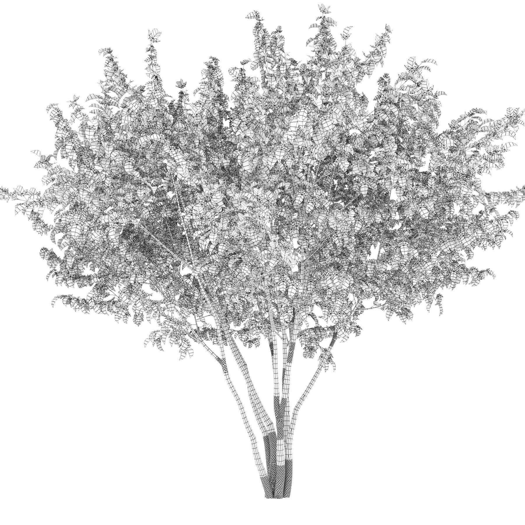 Acer Ginnala - Game-Ready 3D Model