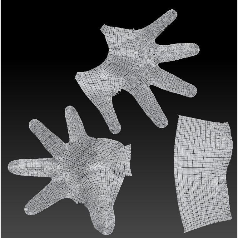 Female Hand 3D Model – Low Poly Realistic Asset, FBX & OBJ Formats
